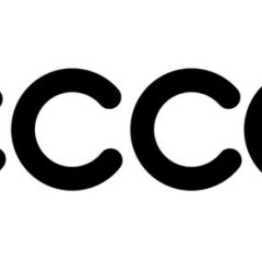 Rozmiary ECCO