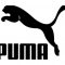 Rozmiary Puma