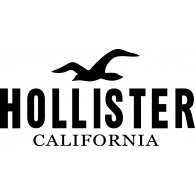 Rozmiary Hollister